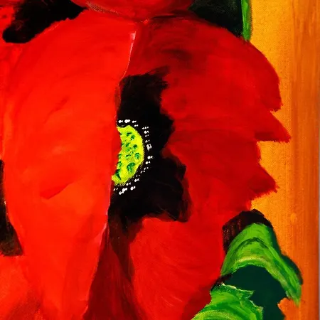 Het Groene Wout Bed & Breakfast