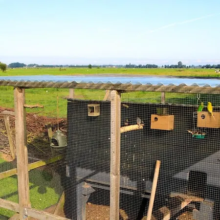 Het Groene Wout 3* Goudriaan