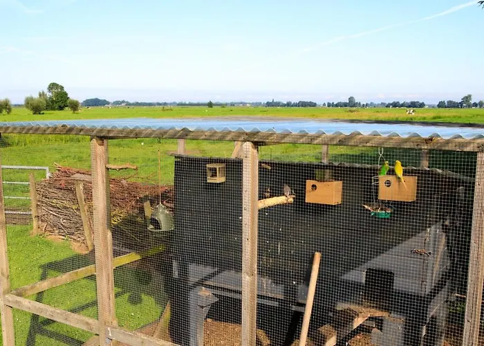 Het Groene Wout 3* Goudriaan