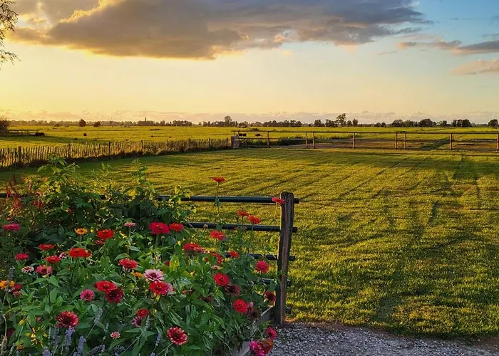 Het Groene Wout Oda ve Kahvaltı