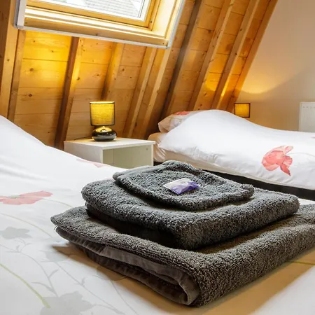 Het Groene Wout 3* Goudriaan