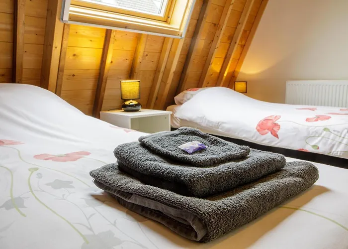 Het Groene Wout 3* Goudriaan